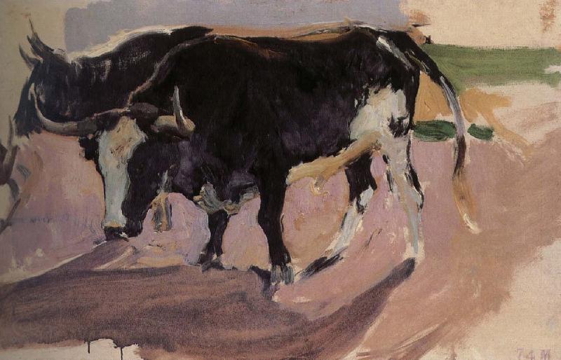 Joaquin Sorolla Bull Project Spain oil painting art